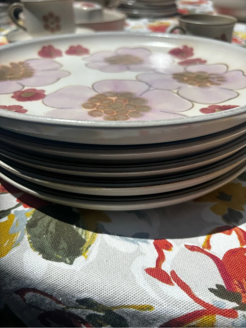5 Denby, England, vintage gypsy dinner plates